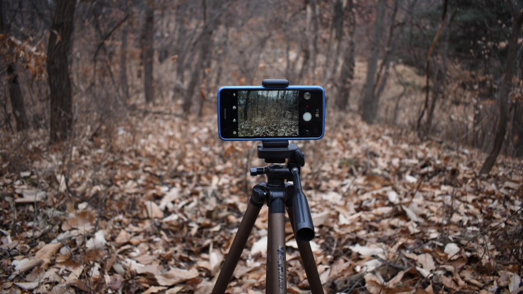 山の中でのスマホ撮影